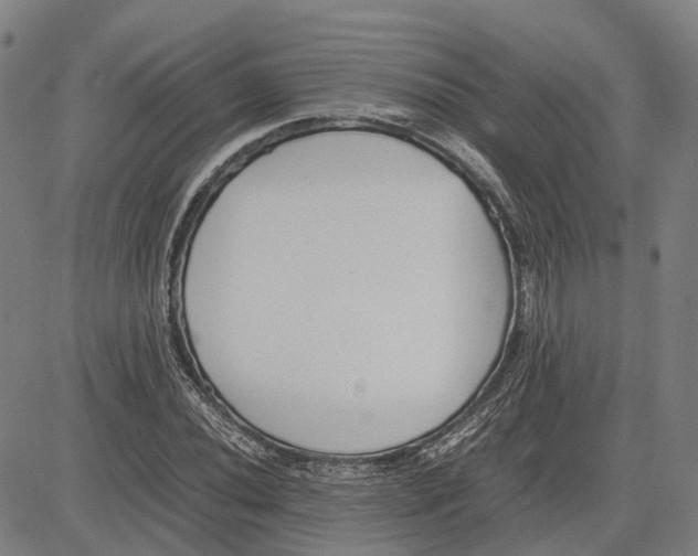 X0000081431020200702021647