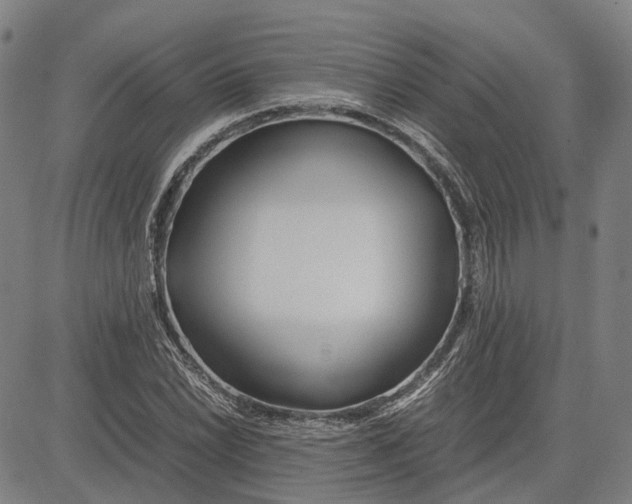 X0000081431022200702021647