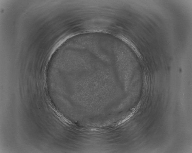 X0000081431023200702021647