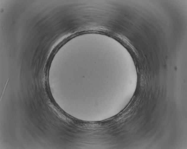 X0000081431024200702021647