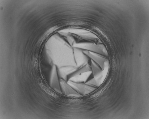 X0000081431025200702021647