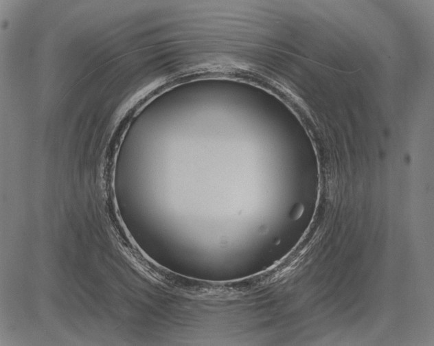 X0000081431026200702021647