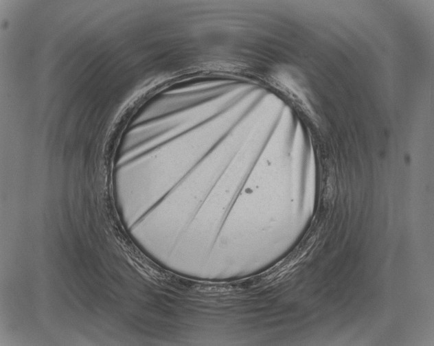 X0000081431027200702021647