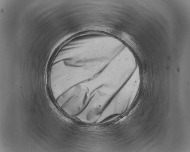 X0000081431028200702021647