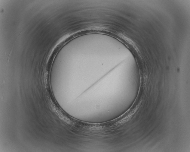 X0000081431029200702021647