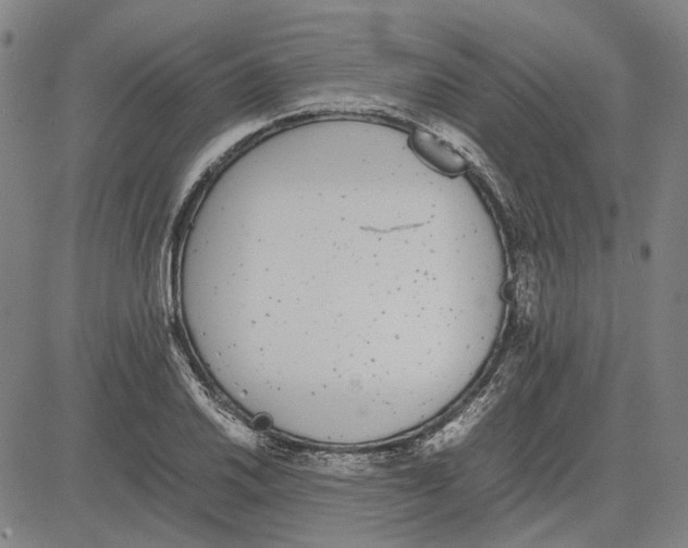 X0000081431030200702021647