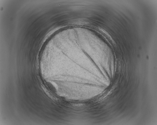 X0000081431031200702021647