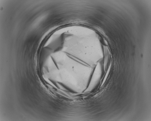 X0000081431032200702021647