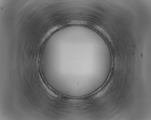 X0000081431033200702021647