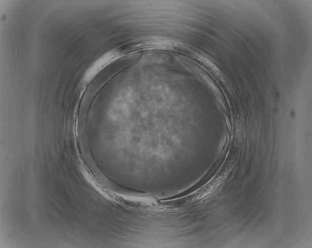 X0000081431034200702021647