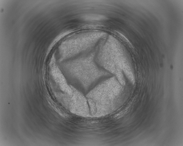 X0000081431035200702021647