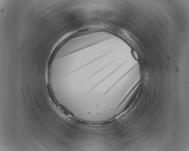 X0000081431036200702021647