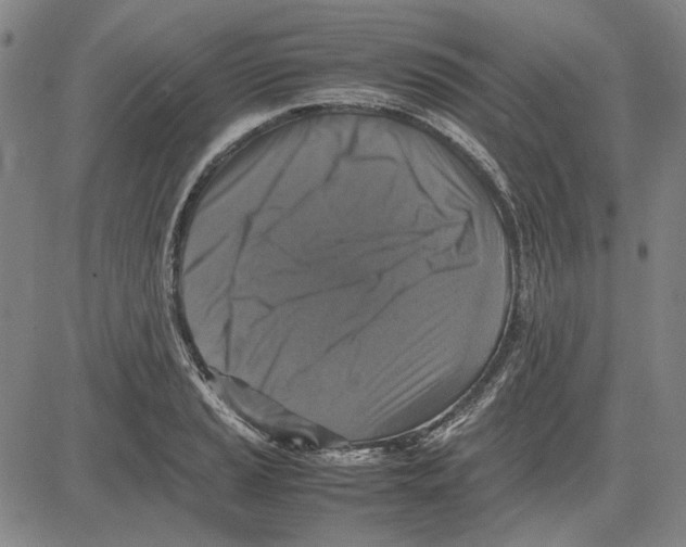 X0000081431037200702021647