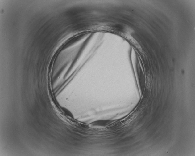 X0000081431039200702021647