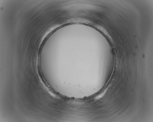 X0000081431040200702021647