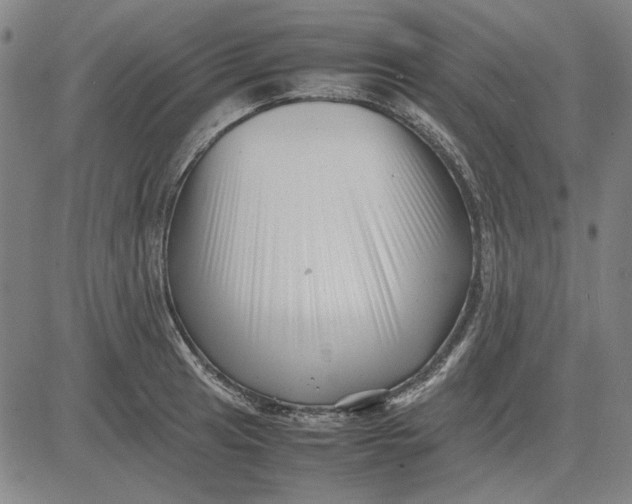 X0000081431041200702021647