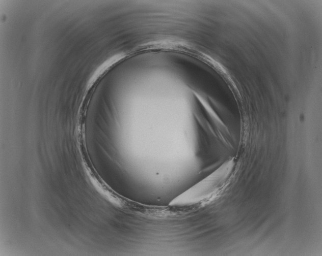 X0000081431042200702021647