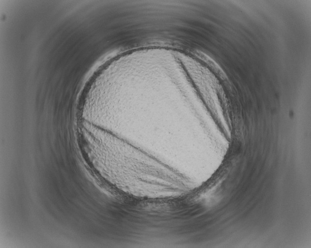 X0000081431043200702021647