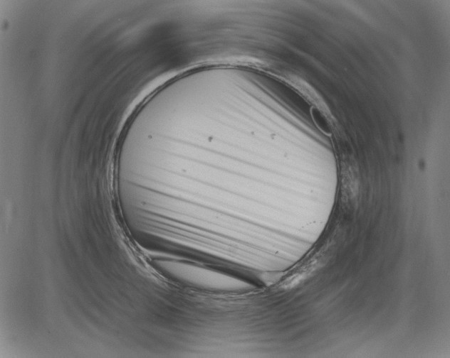 X0000081431044200702021647