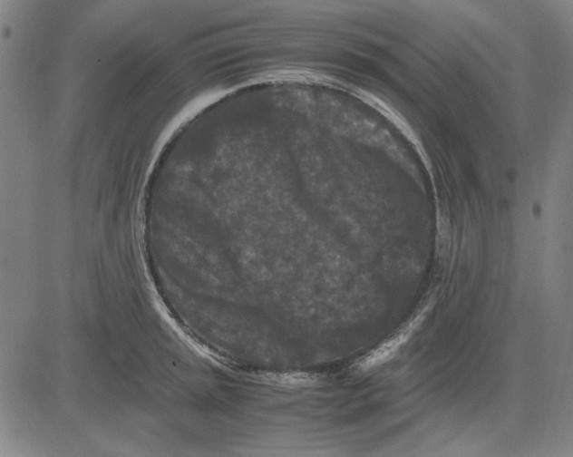 X0000081431045200702021647