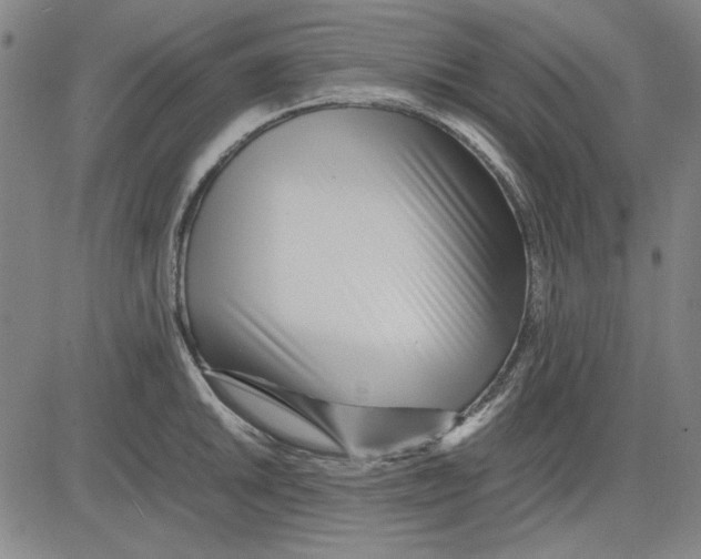 X0000081431046200702021647