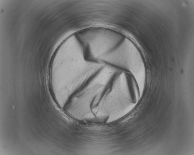 X0000081431048200702021647