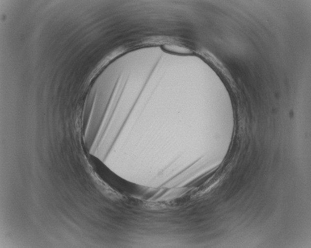 X0000081431049200702021647