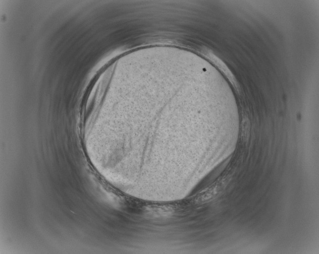 X0000081431051200702021647