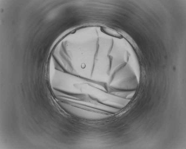 X0000081431052200702021647