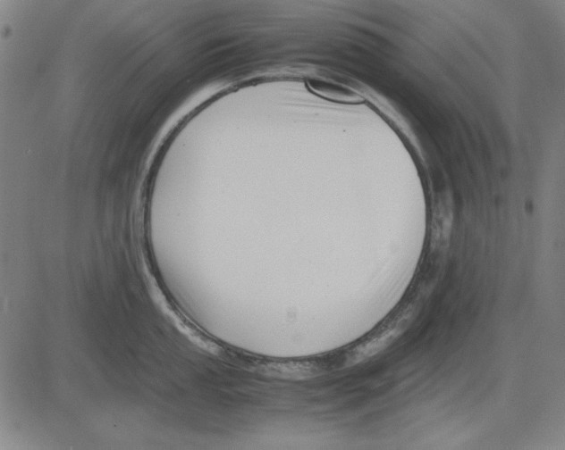 X0000081431053200702021647