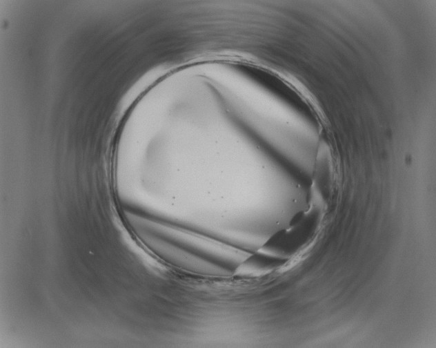 X0000081431054200702021647