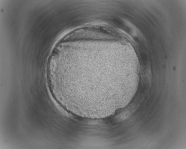 X0000081431055200702021648