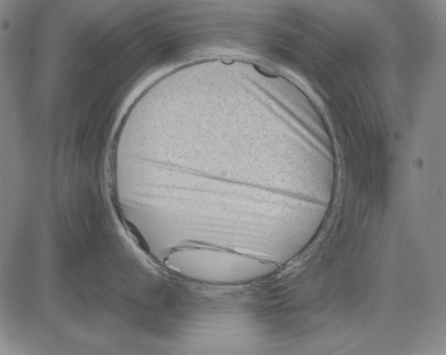 X0000081431056200702021648