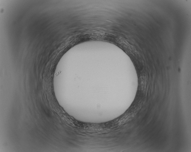 X0000081431057200702021647