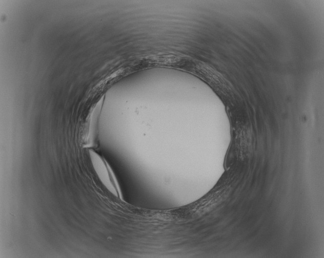 X0000081431058200702021647