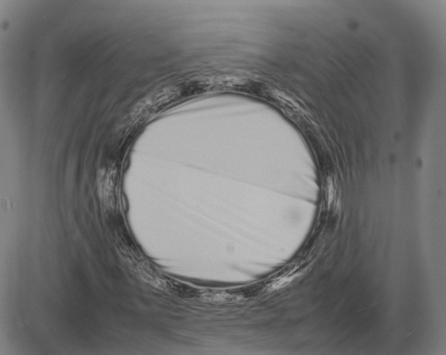 X0000081431059200702021647