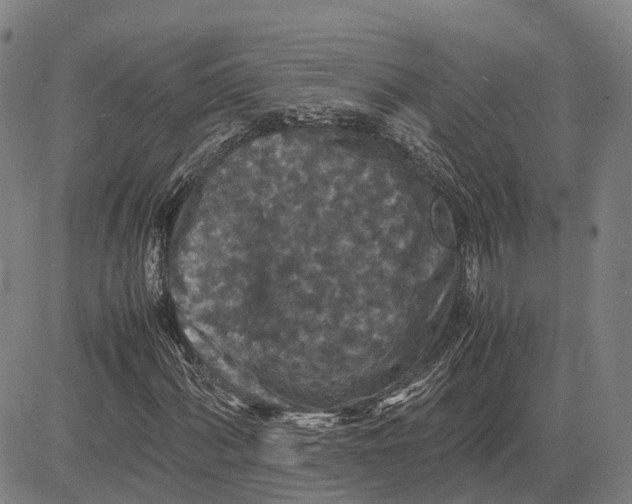 X0000081431060200702021647