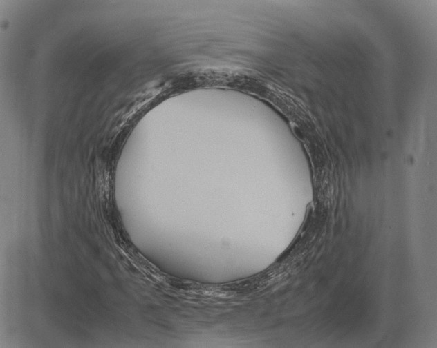 X0000081431061200702021647