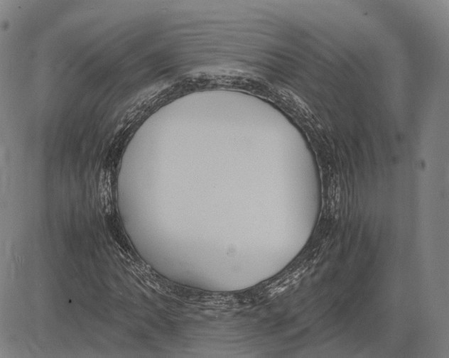 X0000081431062200702021647