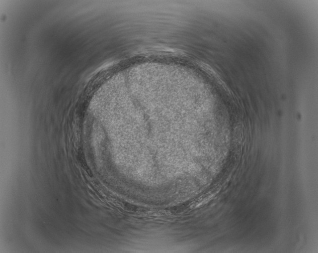 X0000081431063200702021647