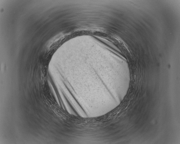 X0000081431064200702021647