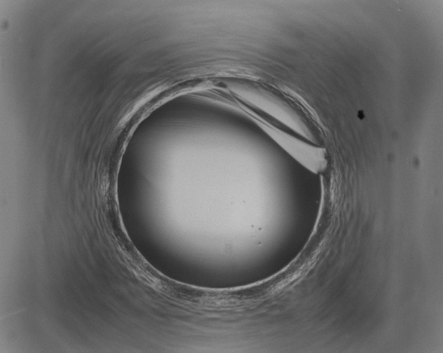 X0000081431065200702021647