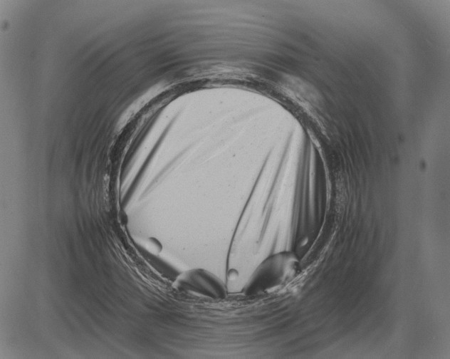 X0000081431066200702021647