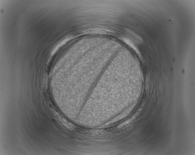 X0000081431067200702021647