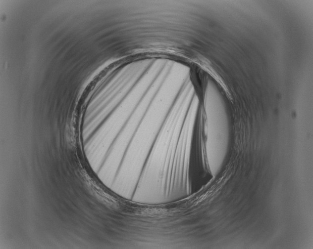 X0000081431068200702021647