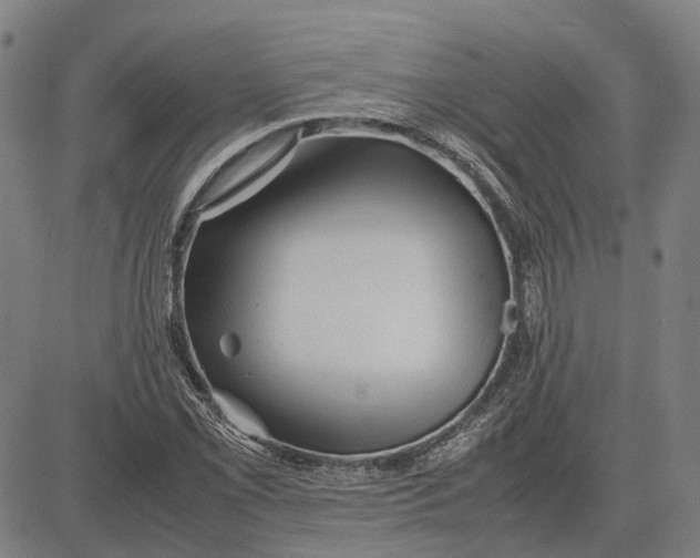 X0000081431069200702021647