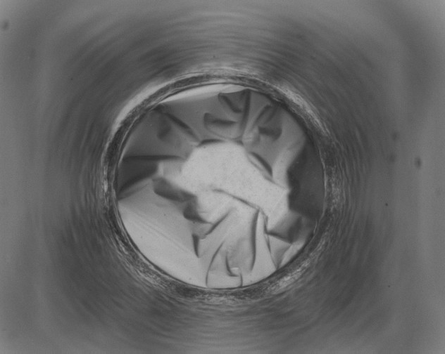 X0000081431070200702021647