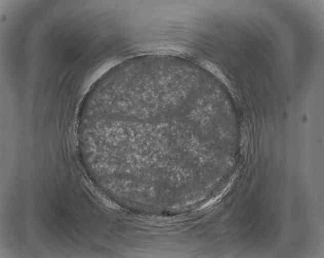 X0000081431071200702021647