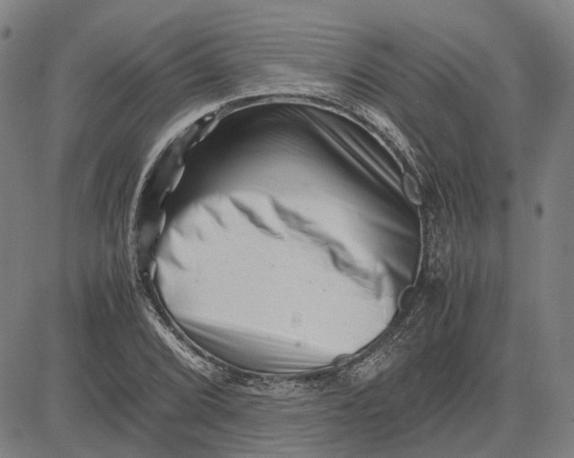 X0000081431072200702021646