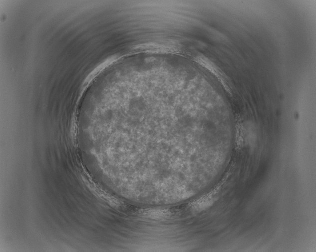 X0000081431074200702021646